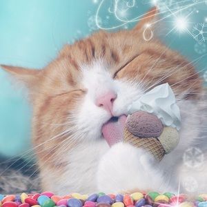 Meet your Posher, Annarella